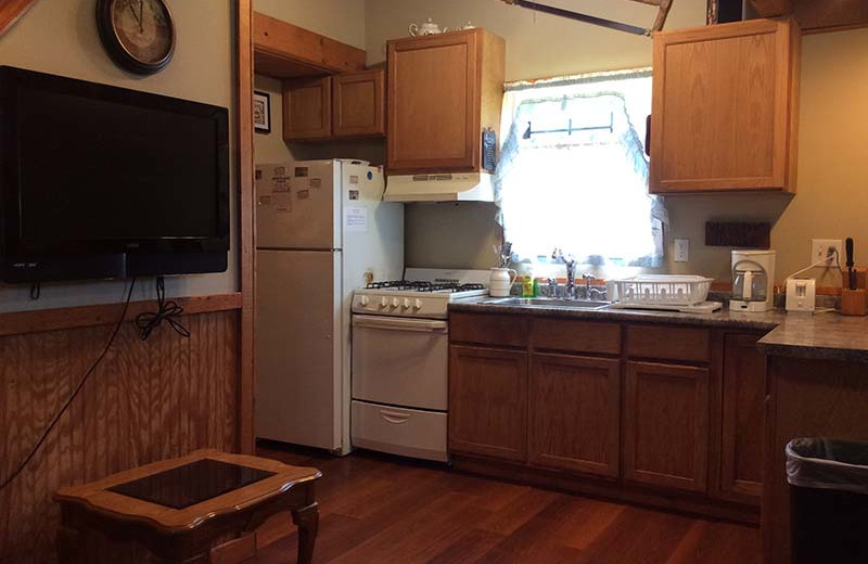 Cabin kitchen at Berry Creek Cabins.