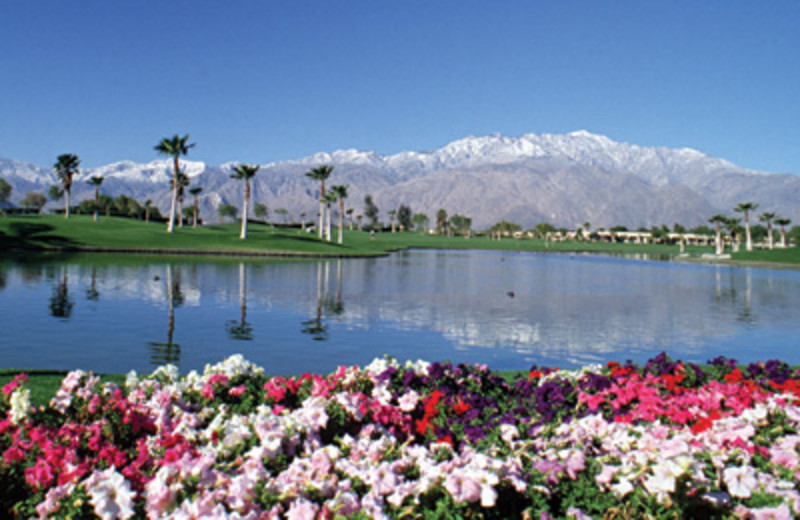 Golf course at Worldmark At Palm Springs.