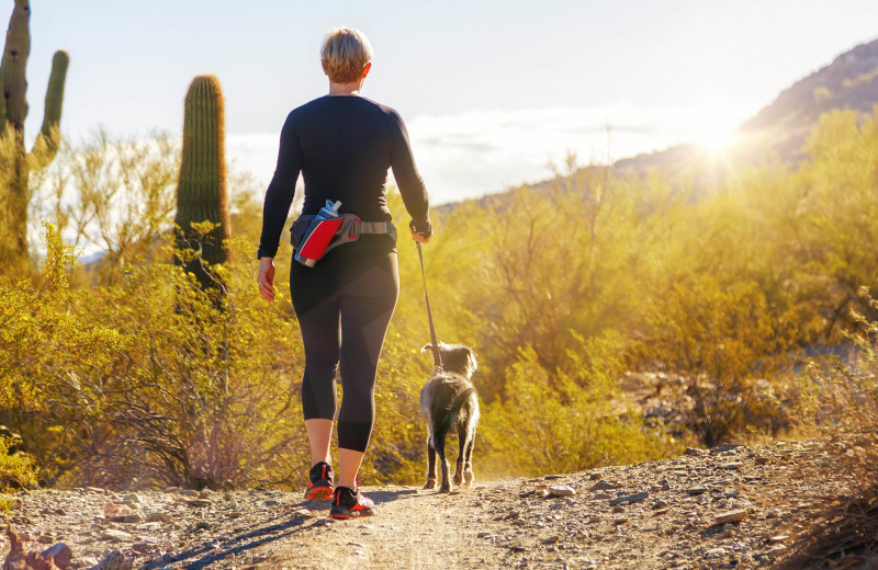 Pets welcome at Sanctuary on Camelback Mountain.