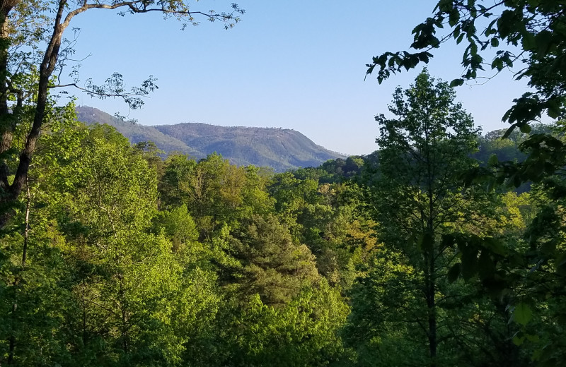 Mountain Views
