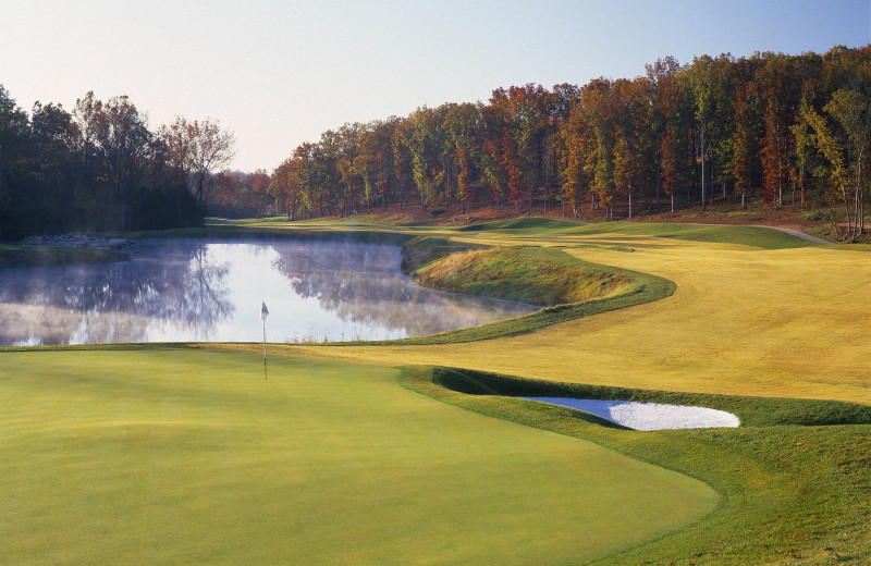 Golf course near Chateau on the Lake.