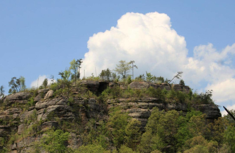 Mountain at Red River Gorge Cabin Company.