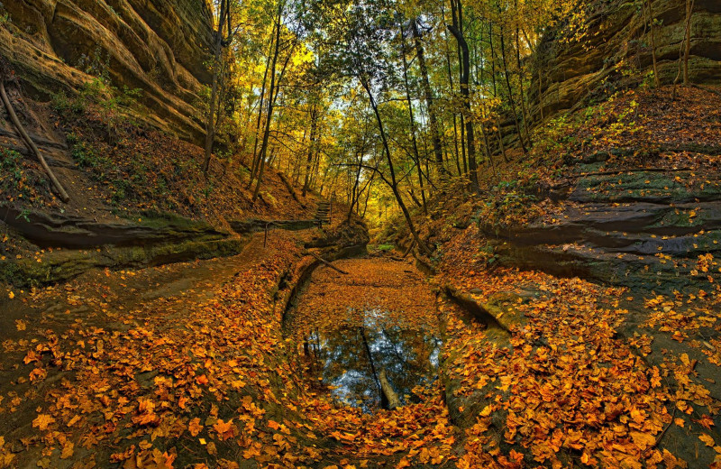 Fall at Grizzly Jacks Grand Bear Resort.