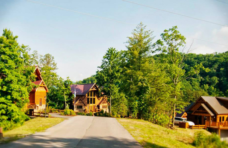 Cabins at Accommodations by Parkside Resort.