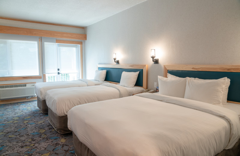 Guest room at Tunnel Mountain Resort