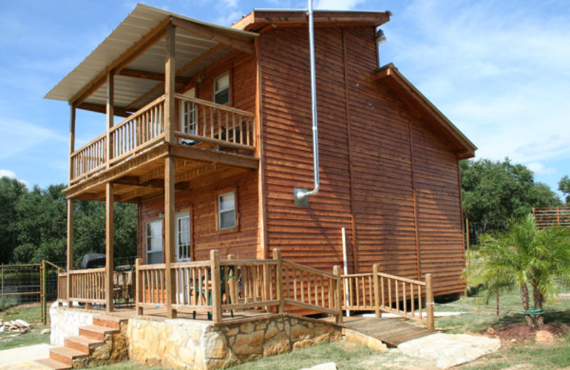 Guest cabin at The Exotic Resort Zoo.