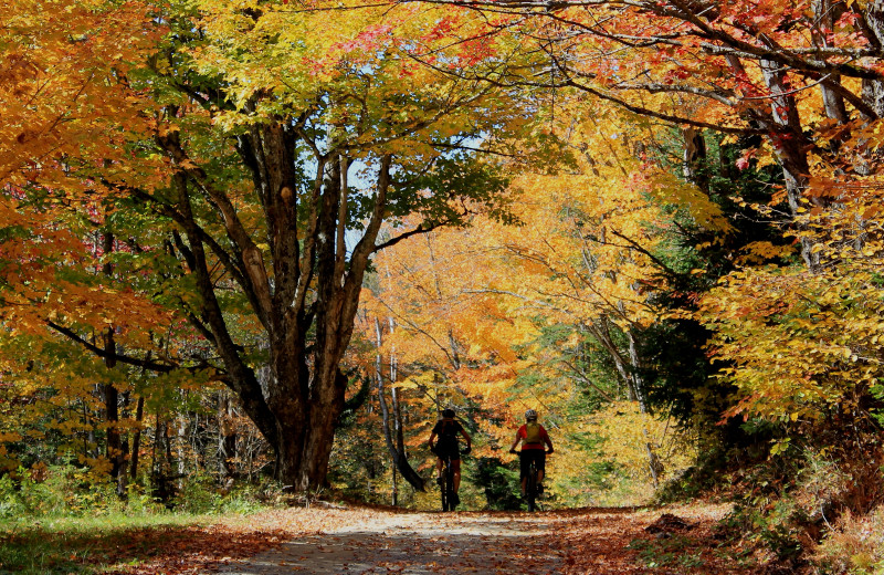 Jackson's Lodge area, Vermont's Northeast Kingdom, The Great North Woods offers miles of scenic remote quiet and safe biking routes for trekking.