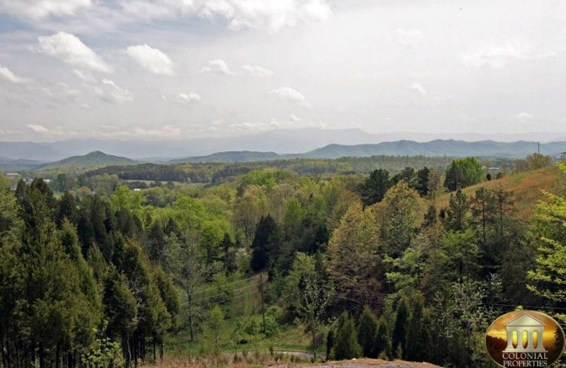 Smokey Mountains at Colonial Properties