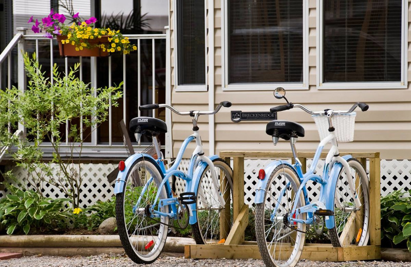 Bikes at Great Blue Resorts- Shamrock Bay Resort.