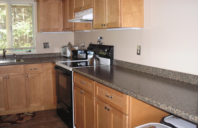 Condo kitchen at Village Condominium.