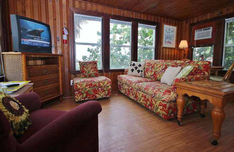 Rental living room at Teeming Vacation Rentals.