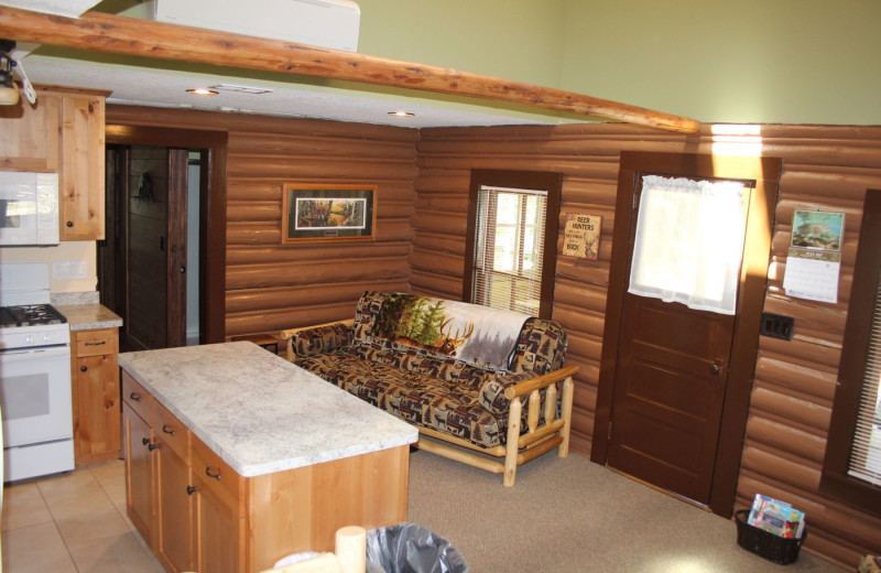 Cabin kitchen at Timber Trails Resort.