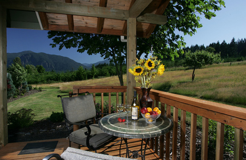 Front Patio at  Carson Ridge Cabins