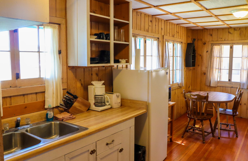 Cabin kitchen at Wilderness Resort Villas.