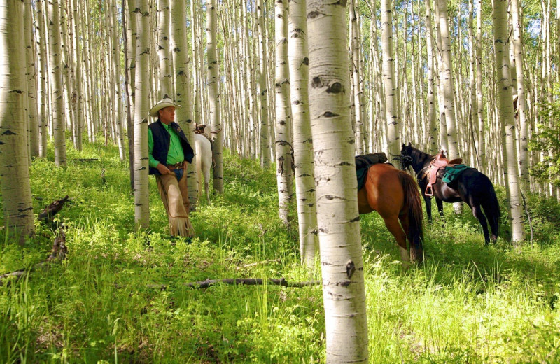 Riding at Elk Mountain Ranch.