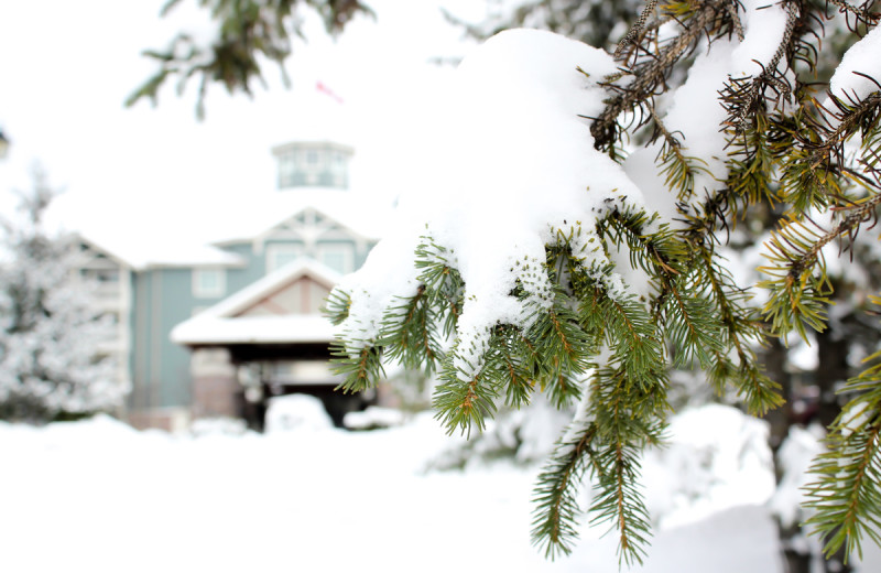 Winter at Deerhurst Resort.