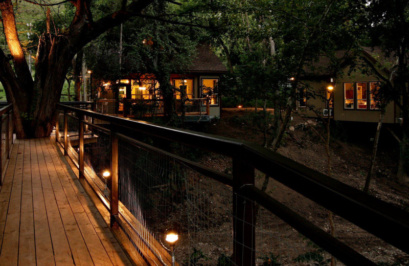 Exterior view of River Road Treehouses.