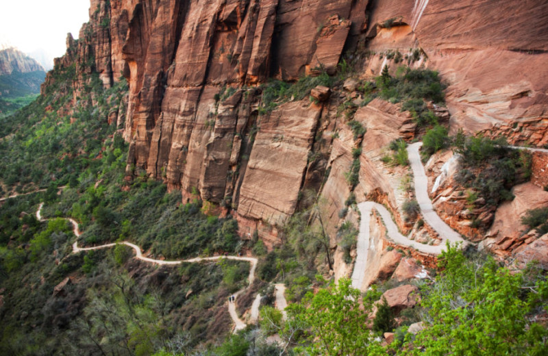 Trail at Red Mountain Resort & Spa.