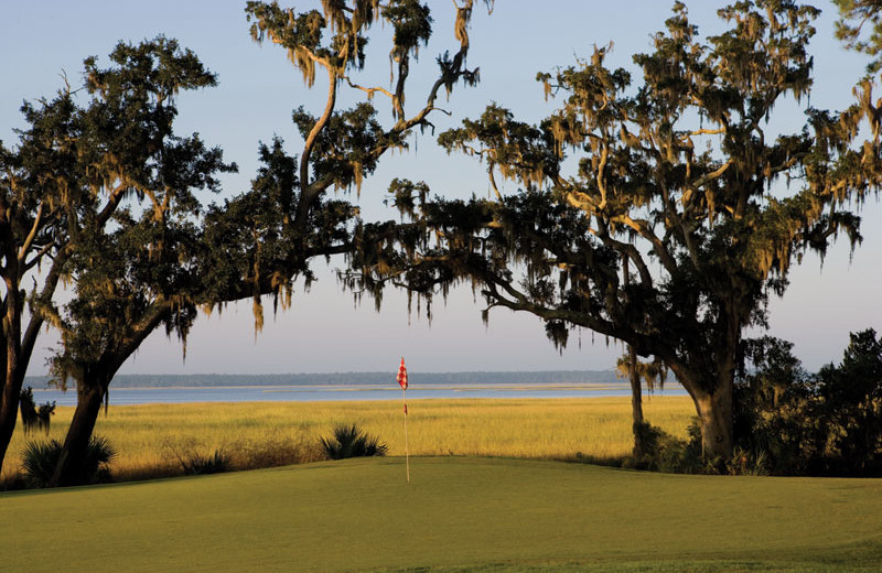 Golf course at Hodnett Cooper.