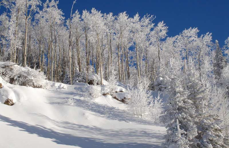 Snow covered landscape at Vista Verde Ranch.