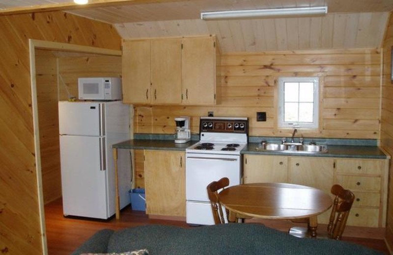 Cabin kitchen at Pleasant Cove Resort.

