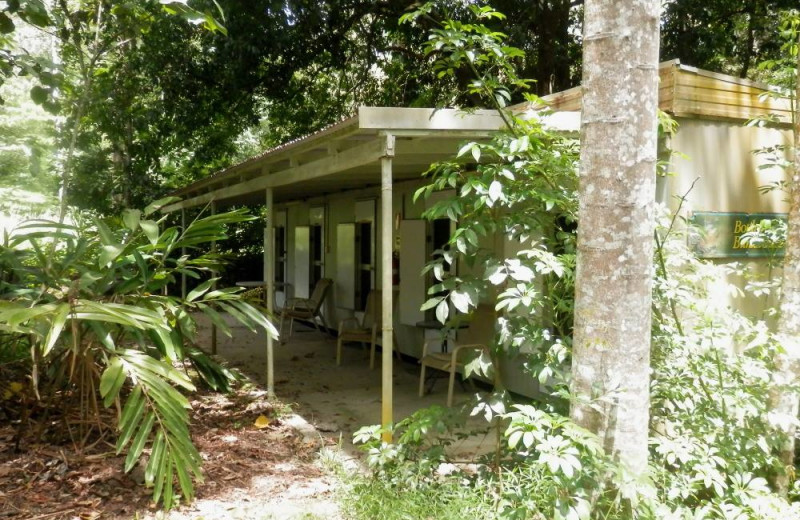 Exterior view of Kingfisher Park Birdwatchers Lodge.