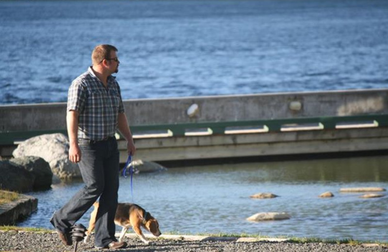 Pets welcome at April Point Lodge and Fishing Resort.