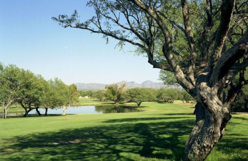 Golf Course at Esplendor Resort