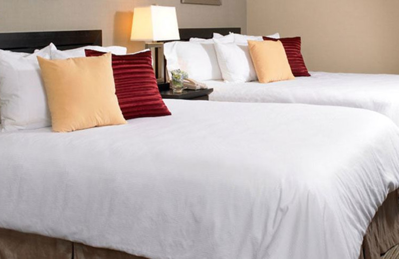 Guest Room at INN at Wilmington