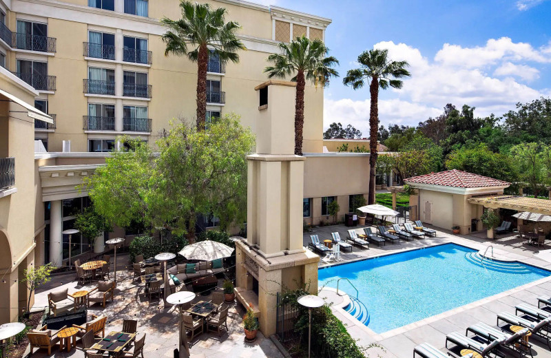 Outdoor pool at Hyatt Regency Valencia.