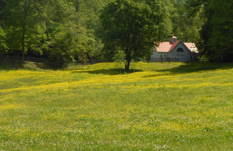 Cabine exterior at Cabins at Highland Falls.