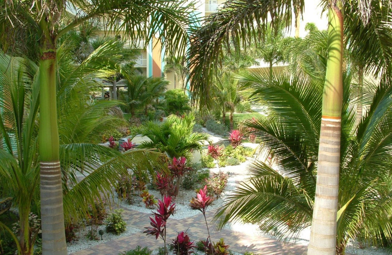 Tropical courtyard at Sunset Vistas.