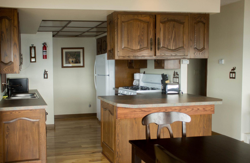 Guest kitchen at Lake Cabins Resort.