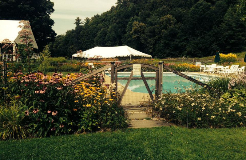 Outdoor pool at Three Stallion Inn.