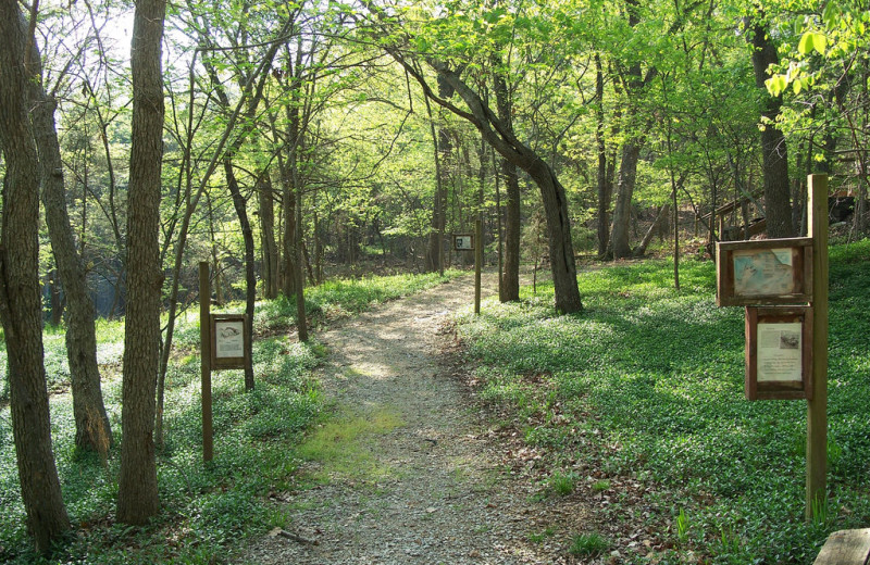 Walking trails at Tribesman Resort.