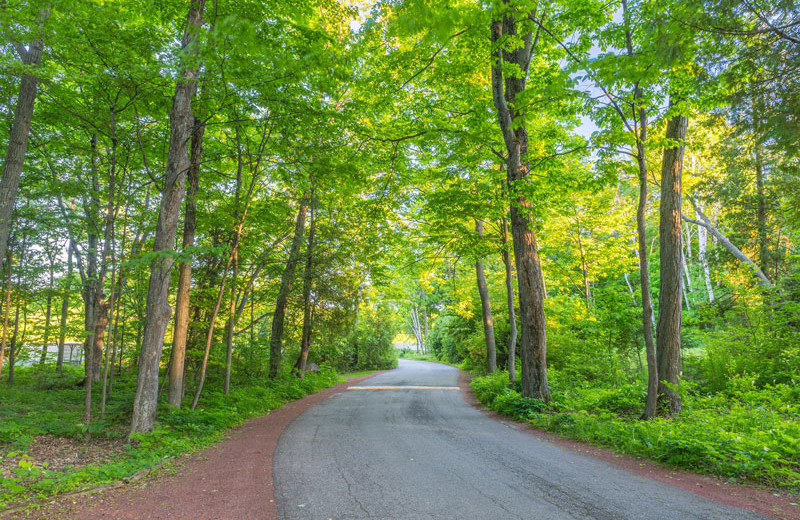 Path at The Shallows Resort.