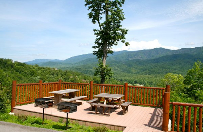 Cobbly Nob Rentals (Gatlinburg, TN) Resort Reviews
