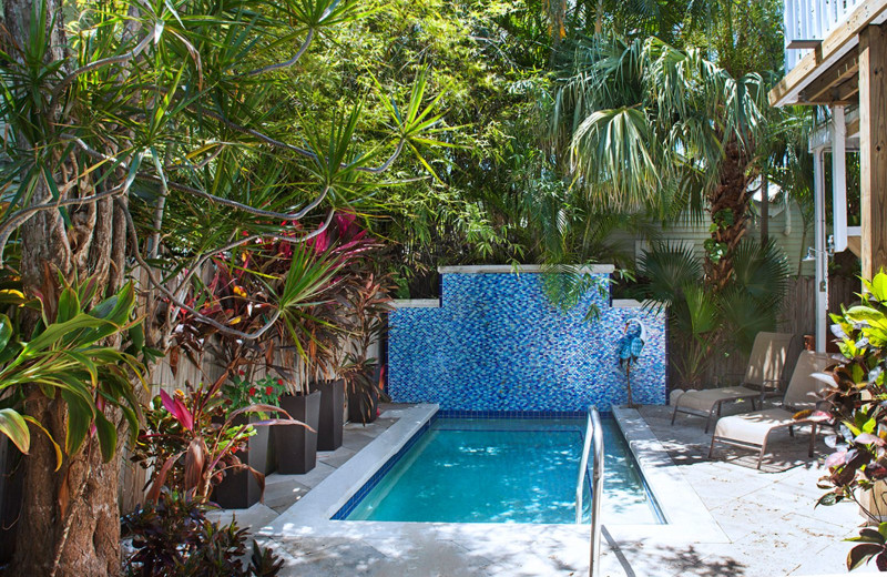 Outdoor pool at The Inn on Fleming.