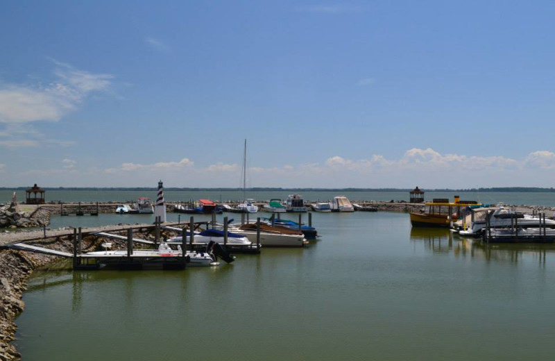 Marina at South Beach Resort.