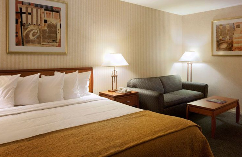 Guest Room at Quality Inn Petaluma