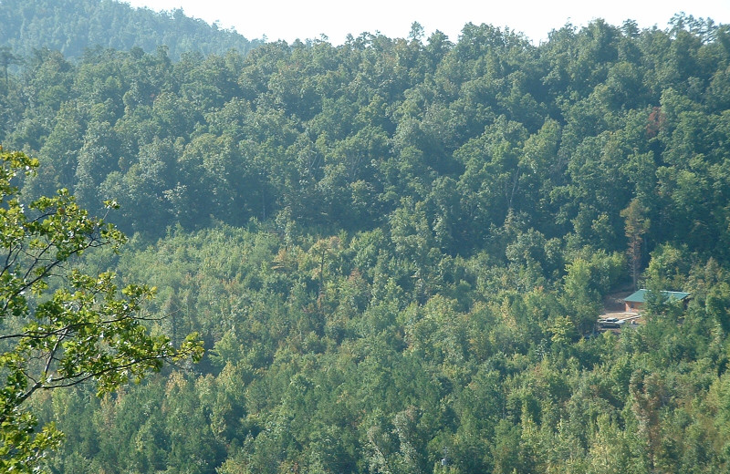 View From Hillside Cabin at Heath Valley Cabins