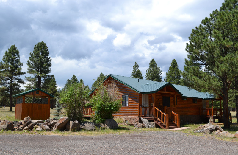 Exterior view of Snowy Mountain Inn.