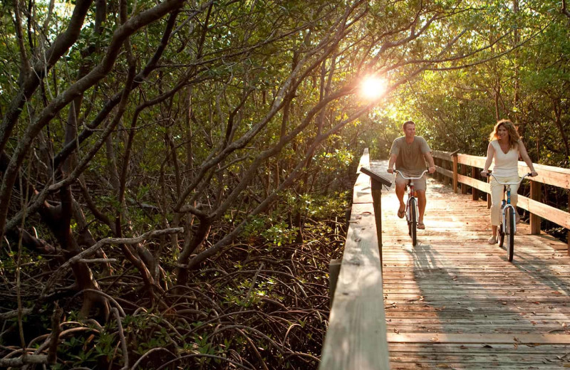 Boardwalk near Island Vacations Of Sanibel.