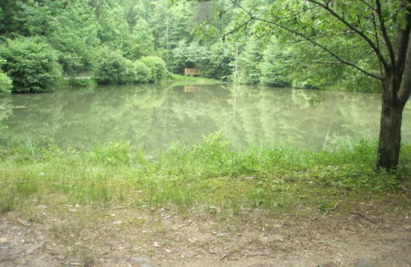 Scenic views from Avenair Mountain Cabins.