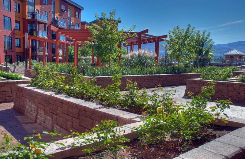 Garden at Playa Del Sol Resort.