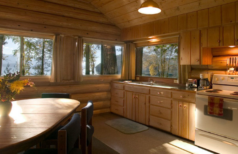 Cabin kitchen at Elkins Resort.