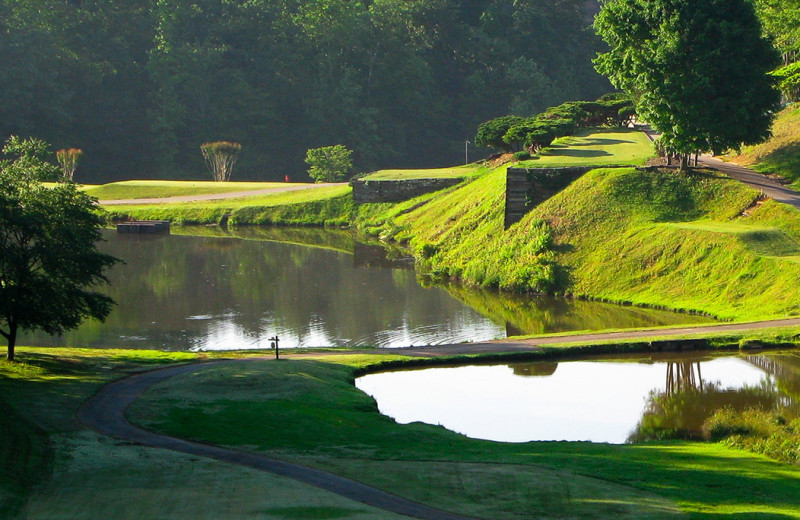 Golf near Little Bear Rentals.