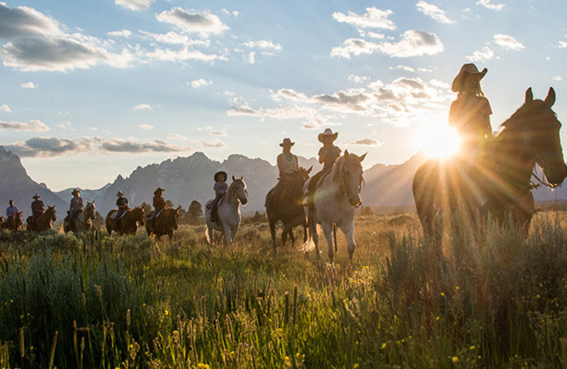 Horseback riding at Triangle X Ranch.