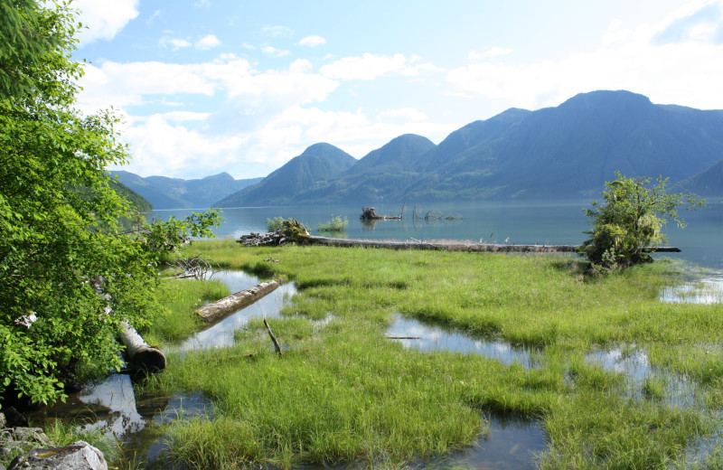 Scenic views at Blackfish Lodge.