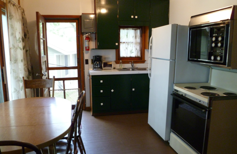 Cabin kitchen at Swan Lake Resort.